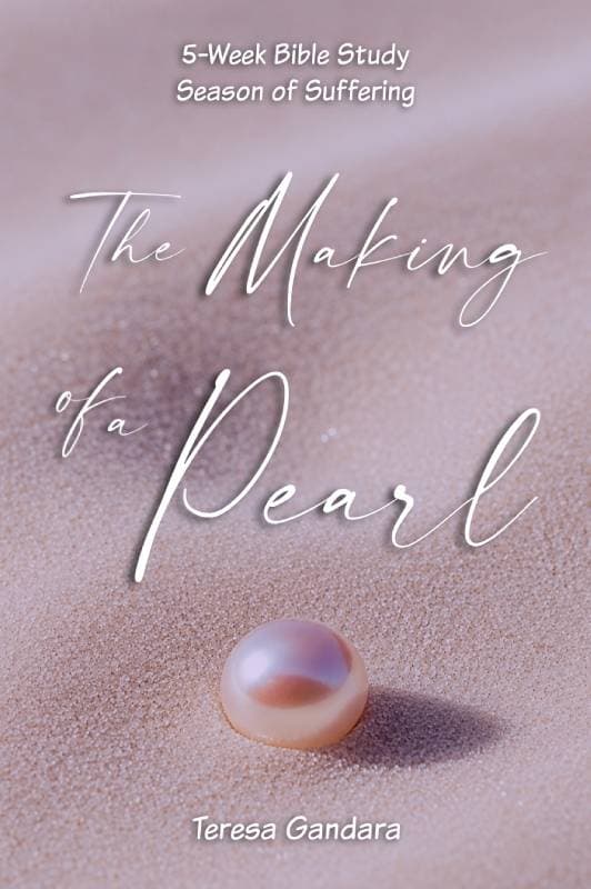 The Making of a Pearl Bible study cover
